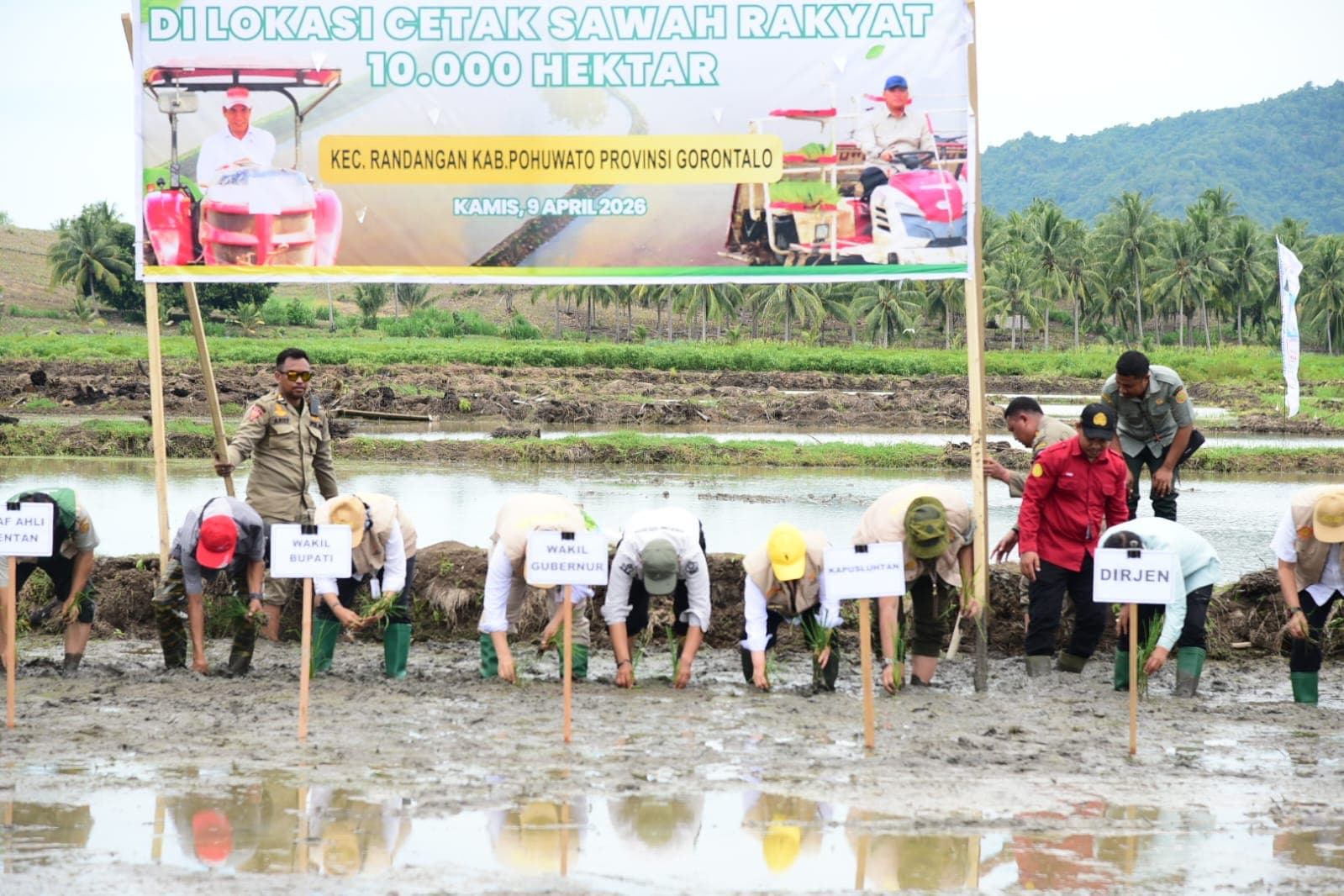 Vice Governor Directly Participates in Rice Planting at CSR Site in Randangan